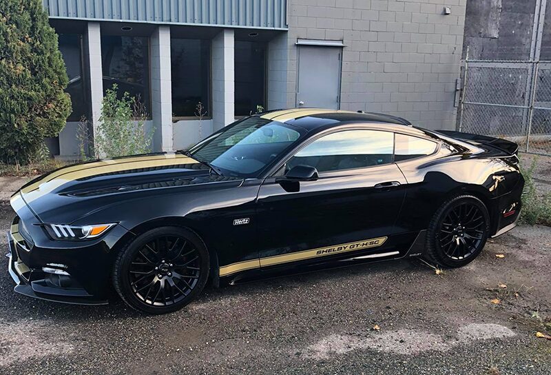 Paint Correction
