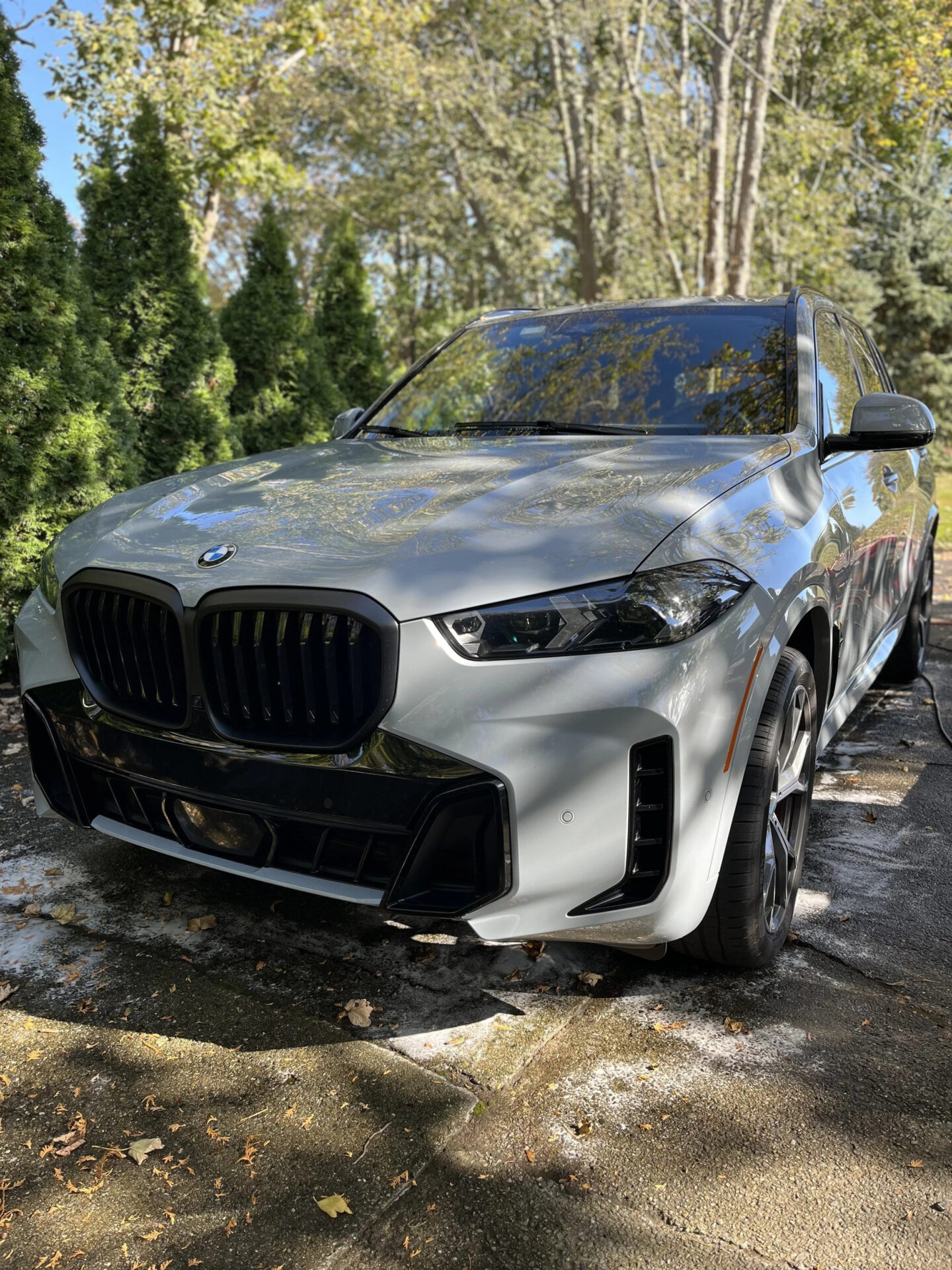 Paint Correction